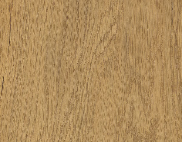 European Oak